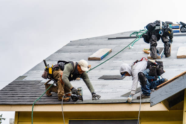Professional Roof Replacement technician working in Iola, TX